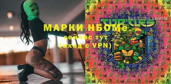 гидра Балахна